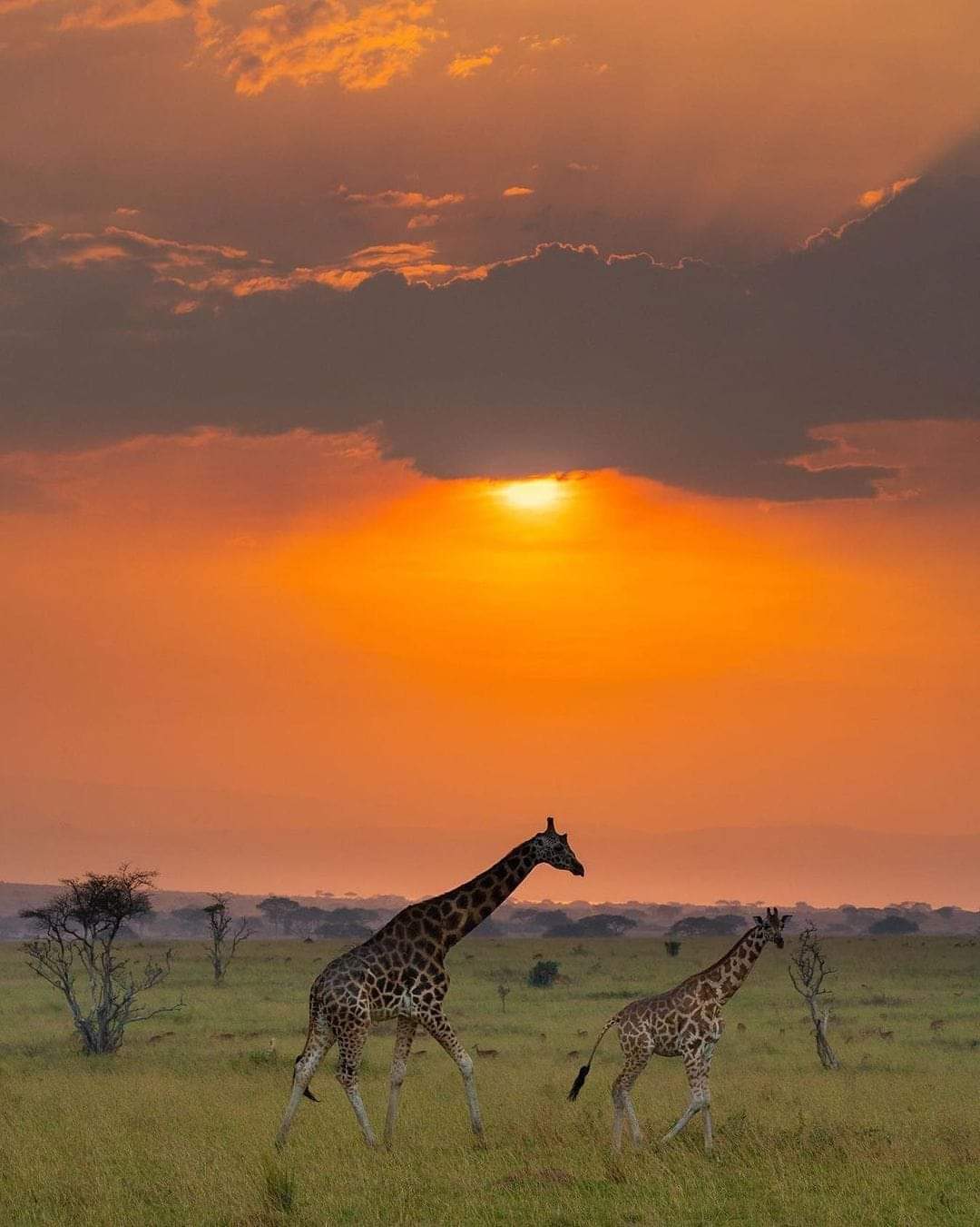 Uganda adventure