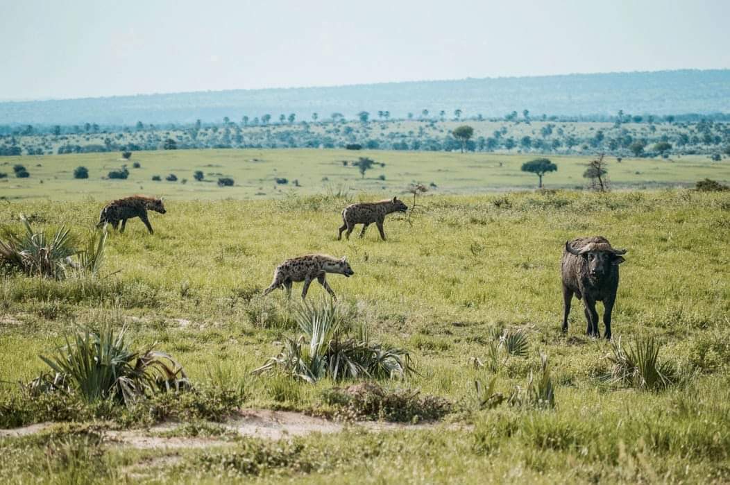 Uganda adventure