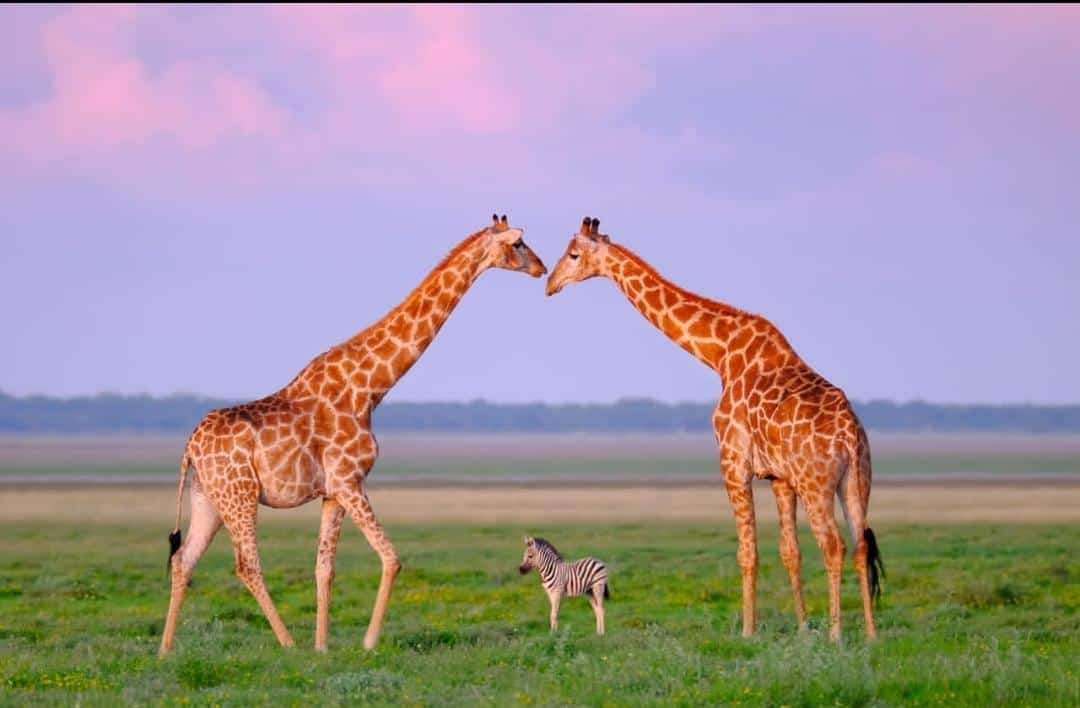 Uganda adventure