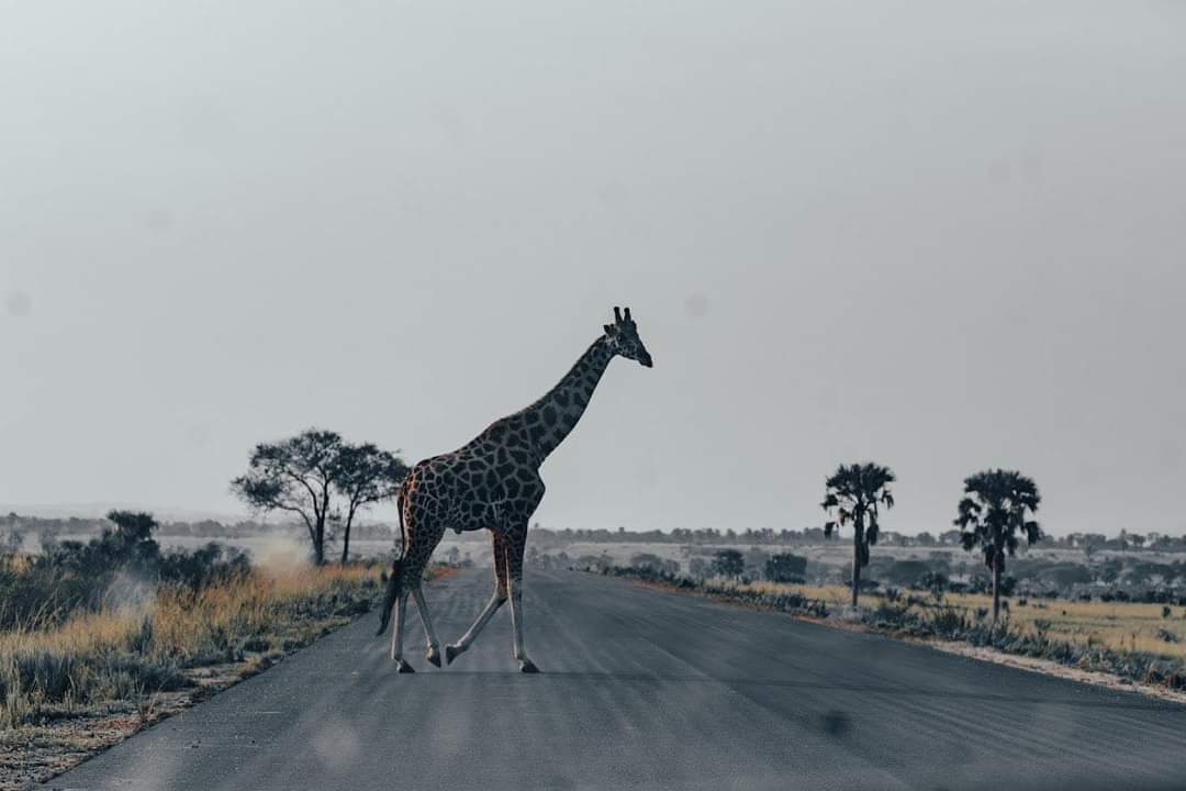 Uganda adventure