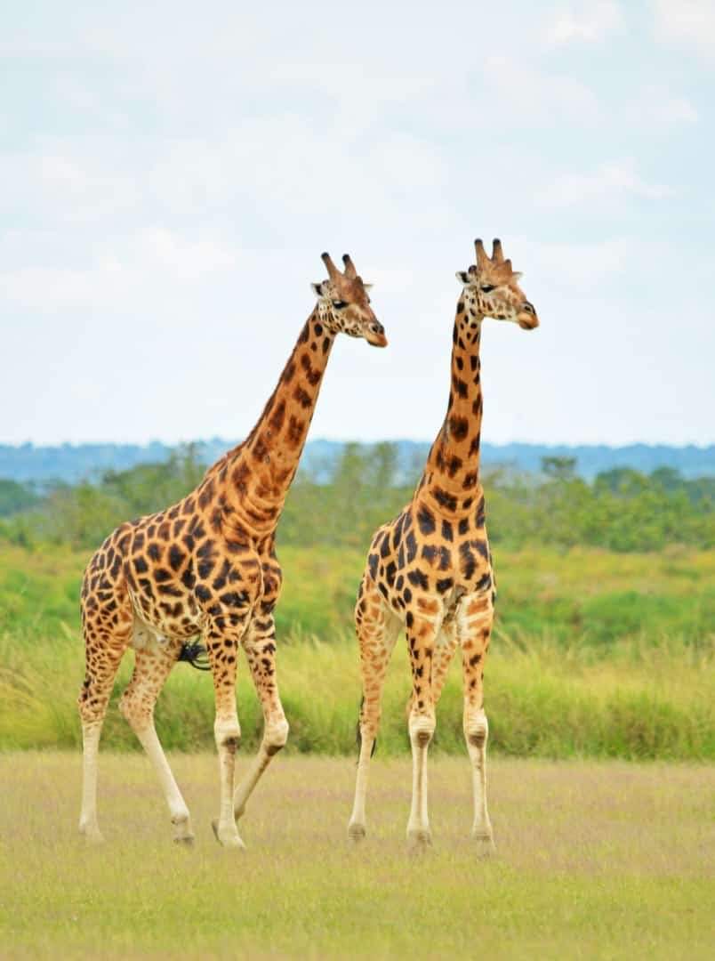 Uganda adventure