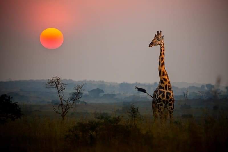 Uganda adventure