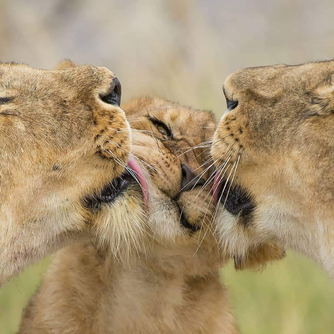 Uganda adventure