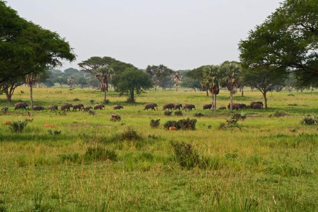 Uganda adventure