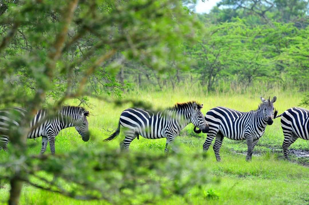 Uganda adventure
