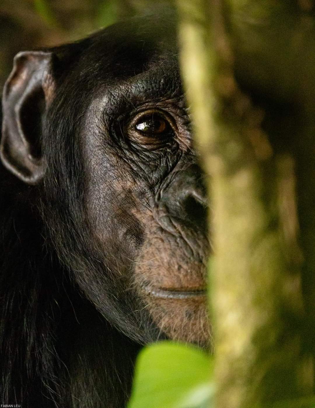 Uganda adventure