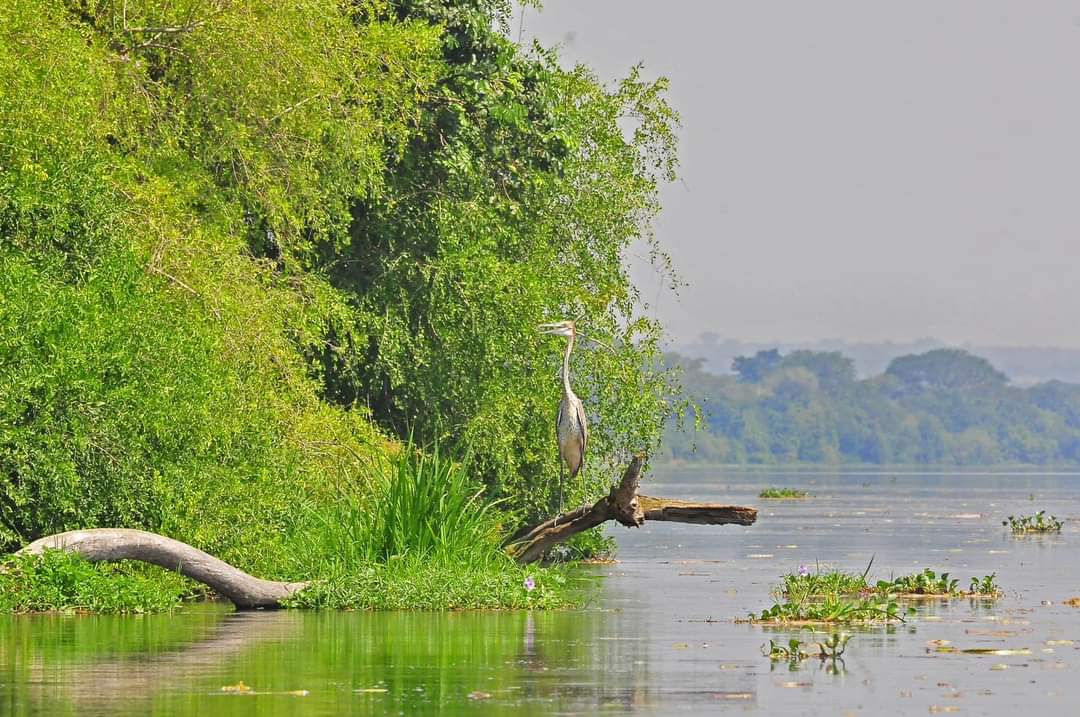 Uganda adventure