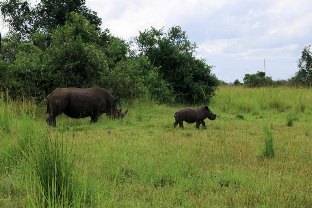 Uganda adventure