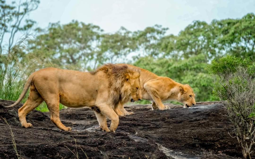 Uganda adventure