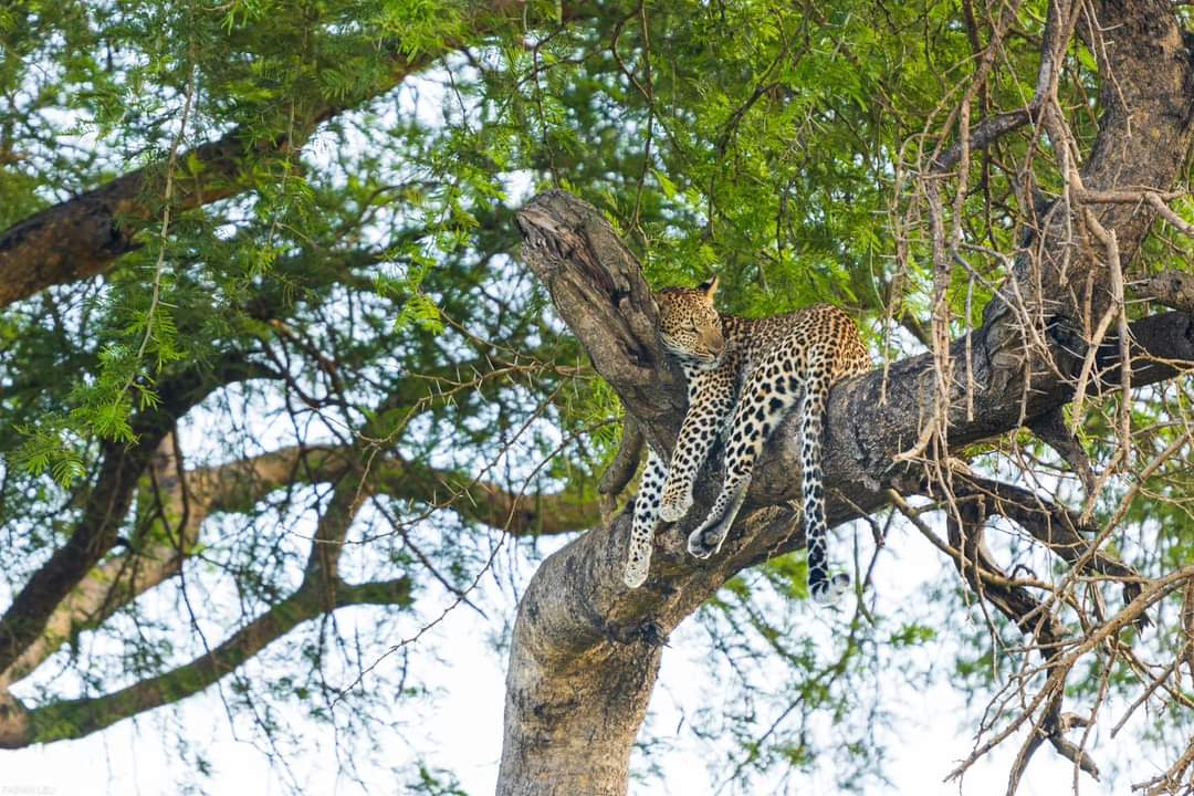 Uganda adventure