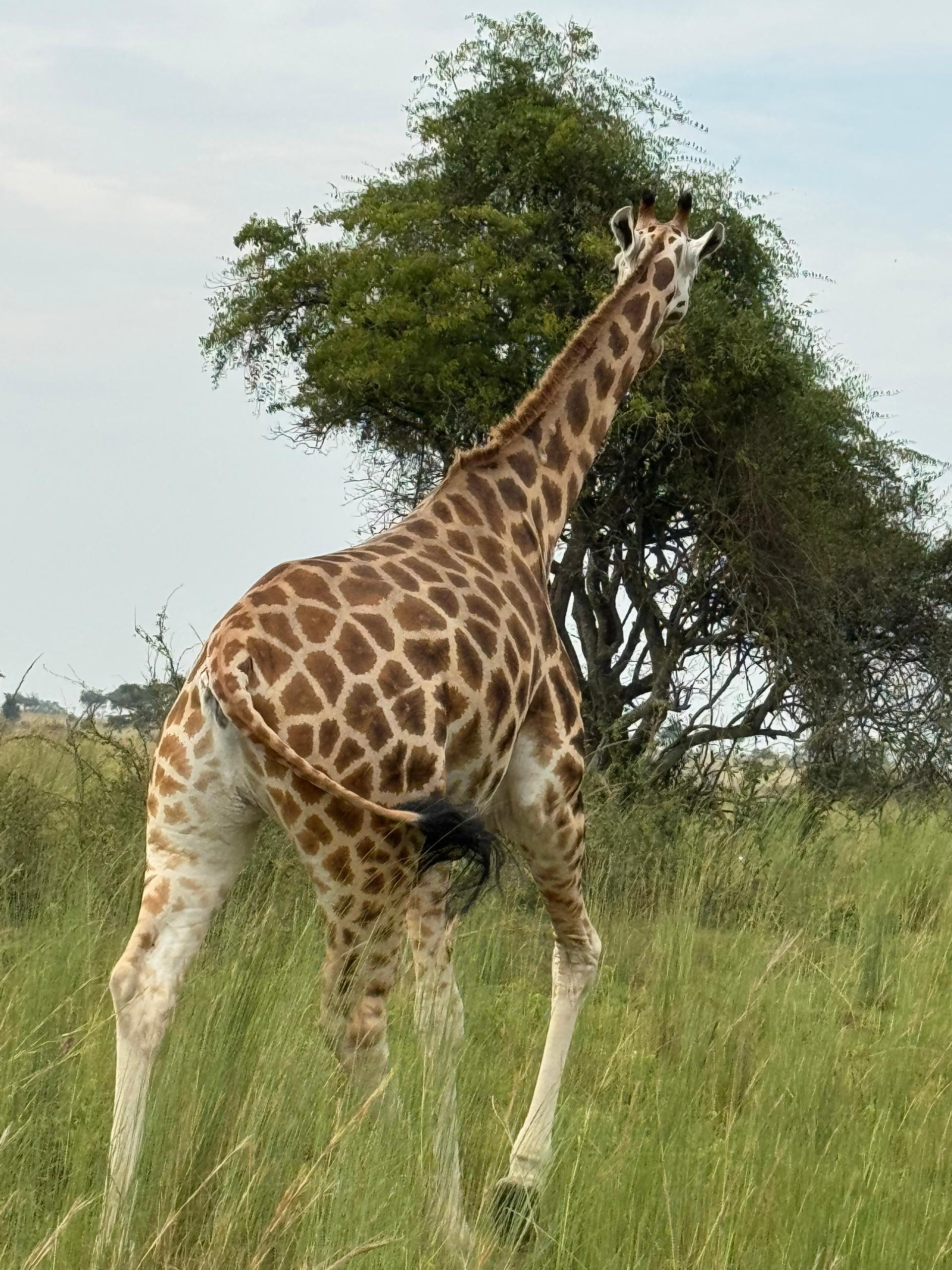 Uganda adventure