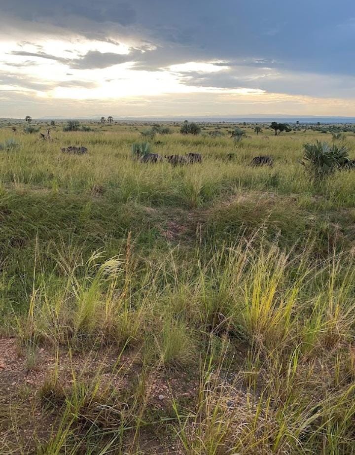 Uganda adventure